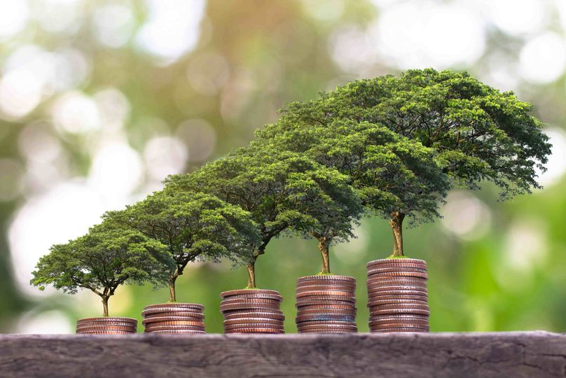 Sustainable money growing trees