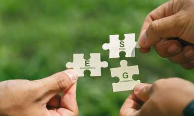 ESG puzzle pieces