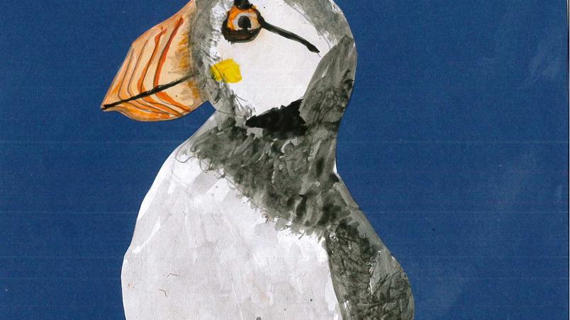 Child's drawing of a puffin