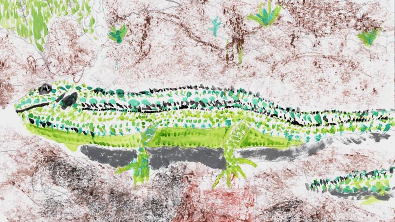 Child's painting of a lizard