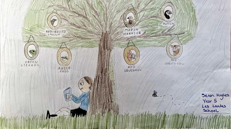 Child's drawing of a tree filled with Wildlife