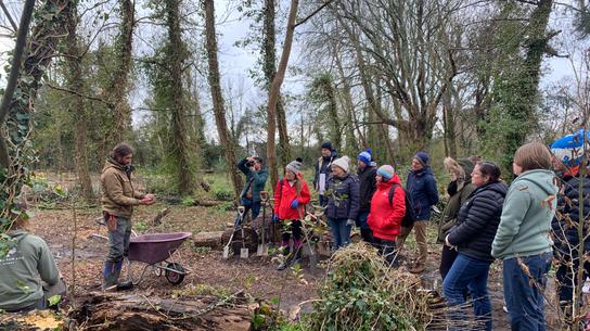 La Moye Woodland